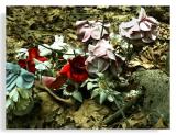 Dead Cemetery Flowers