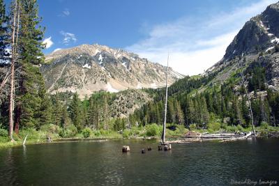 Lundy Canyon Beaver Pond 2