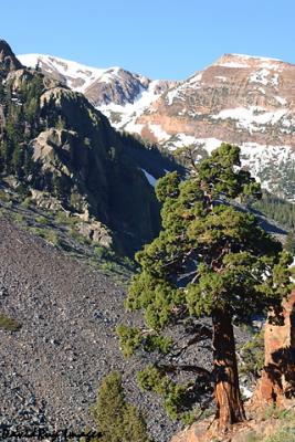 Lundy Canyon 5