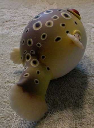 puffer fish