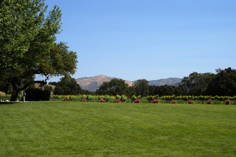 Santa Barbara3138