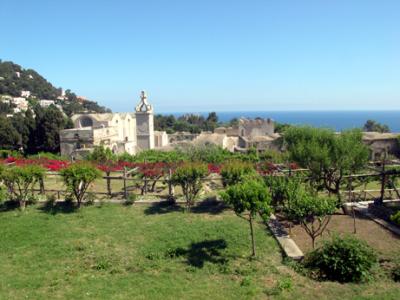 Charterhouse of St. James. (Olive trees in front.) Built in 14th c. as a monastery. Now an art gallery and secondary school.