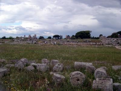 Forum (looking north): Roman (3rd c. b.c.) On top of Greek Agora (5th c. b.c.) Town center. Enclosed on 4 sides by a portico.