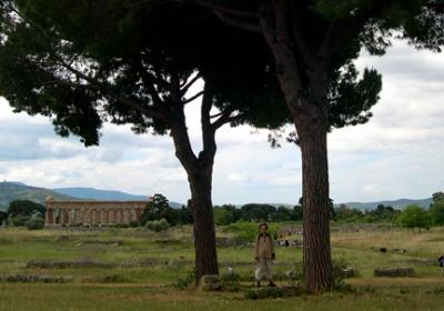 Judy under an umbrella pine with the Temple of Poseidon (Neptune) in the background. Crop from previous photo.