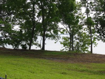 This past week Gus and some men did a little clearing along the bank, opening up the view