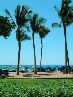 u29/erixmith/medium/17830658.MaunaLaniBeach.jpg