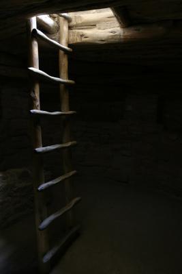 Spruce Tree House 6608