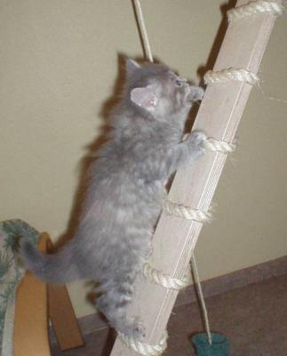 Up...