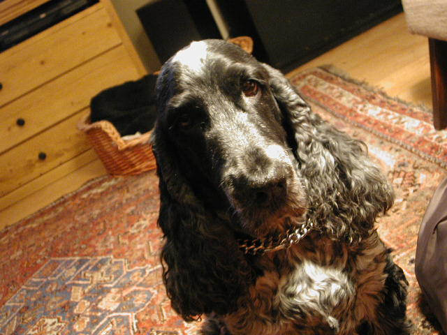 DSCN9904.JPG
