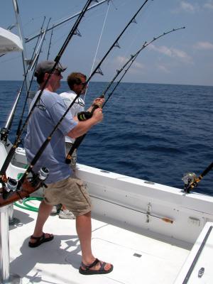 Reelin'