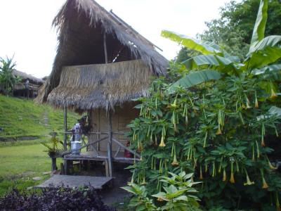 our home in a Karen village near Doi Inthanon