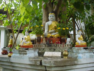 Yangon Buddhas