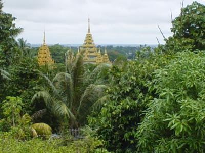 view from Shwedagon