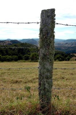 Old Fence Post