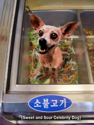 dog_food.jpg