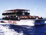 <small>We go for ride on dis<BR>Bahama Mama Party Boat<BR>Free Rum Bahama Mamas<BR>for everybody!</small>