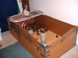 Box Brooder.jpg