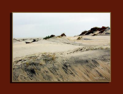 Surf n Sand