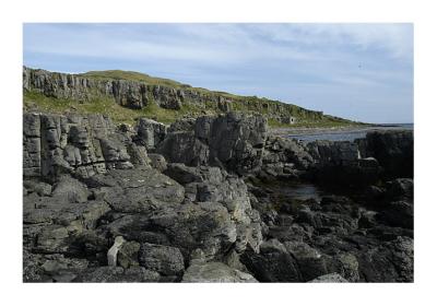 Puffin Island