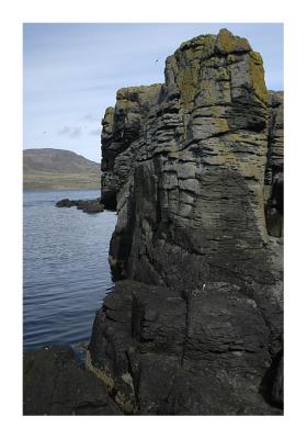 Puffin Island