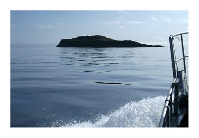 Puffin Island