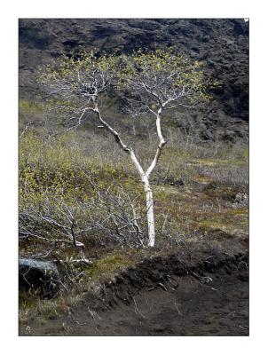 u29/franziskalang/medium/17605225.DSC_0043_web.jpg