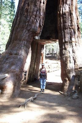 Diane inside tree tunnel