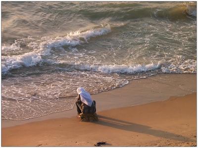 Fascination of the Sea