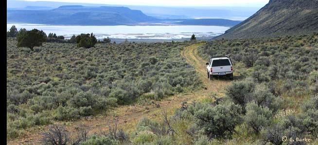 Road Shot / Crump Lake