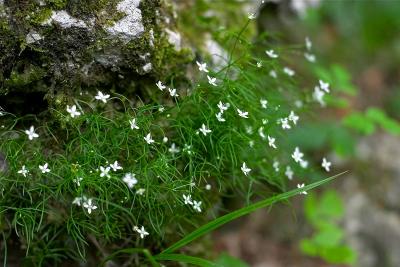 CRW_0714.jpg