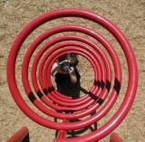 Red Spiral 2