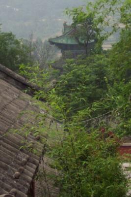 u29/ghislain3/medium/17804613.Henan0603172.jpg