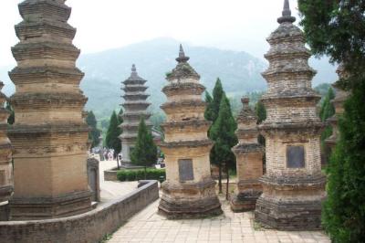 The Forest of Pagodas