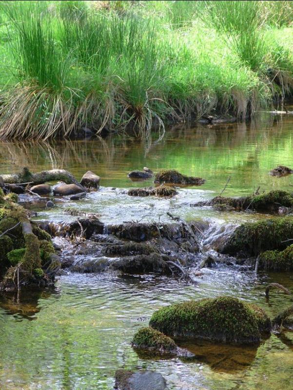 Nant Melyn, Dare Valley Country Park