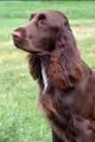 Trefors daughter Molly