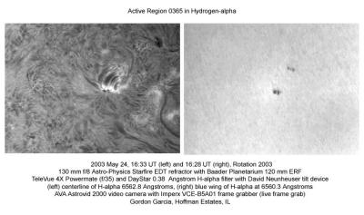 Active Region 0365 (H-alpha)