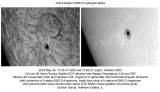 Active Region 0368