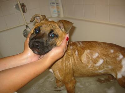 first bath