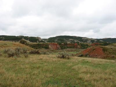 Teddy Roosevelt Nat'l Park 3