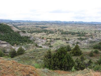Teddy Roosevelt Nat'l Park 5