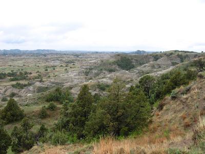 Teddy Roosevelt Nat'l Park 6