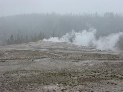 Yellowstone 5