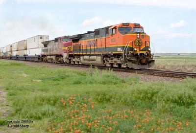 BNSF 1103 West At Hudson, CO