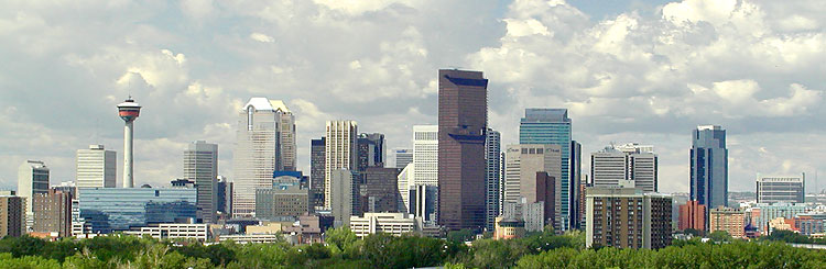 DT-Panorama