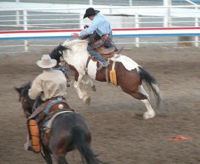 Cody night rodeo