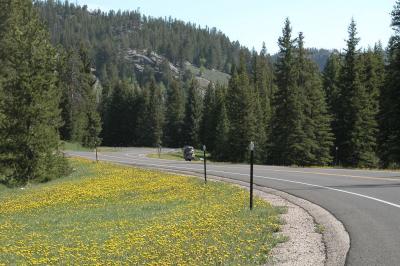 Beartooth scenic highway