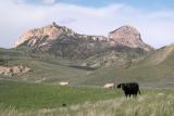 Near Cody