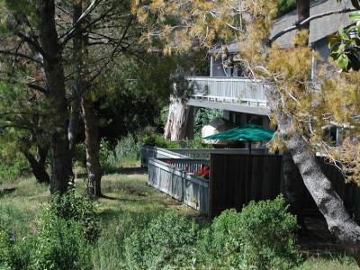 Condos at the edge of a forest