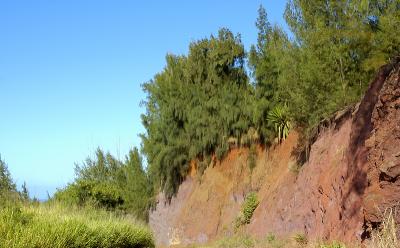 Colored Earth