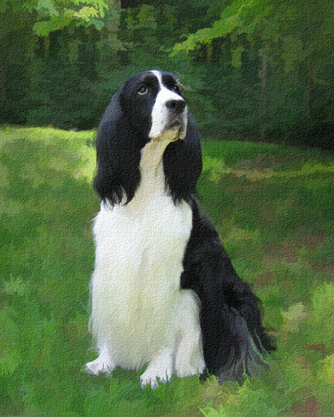 Painting...